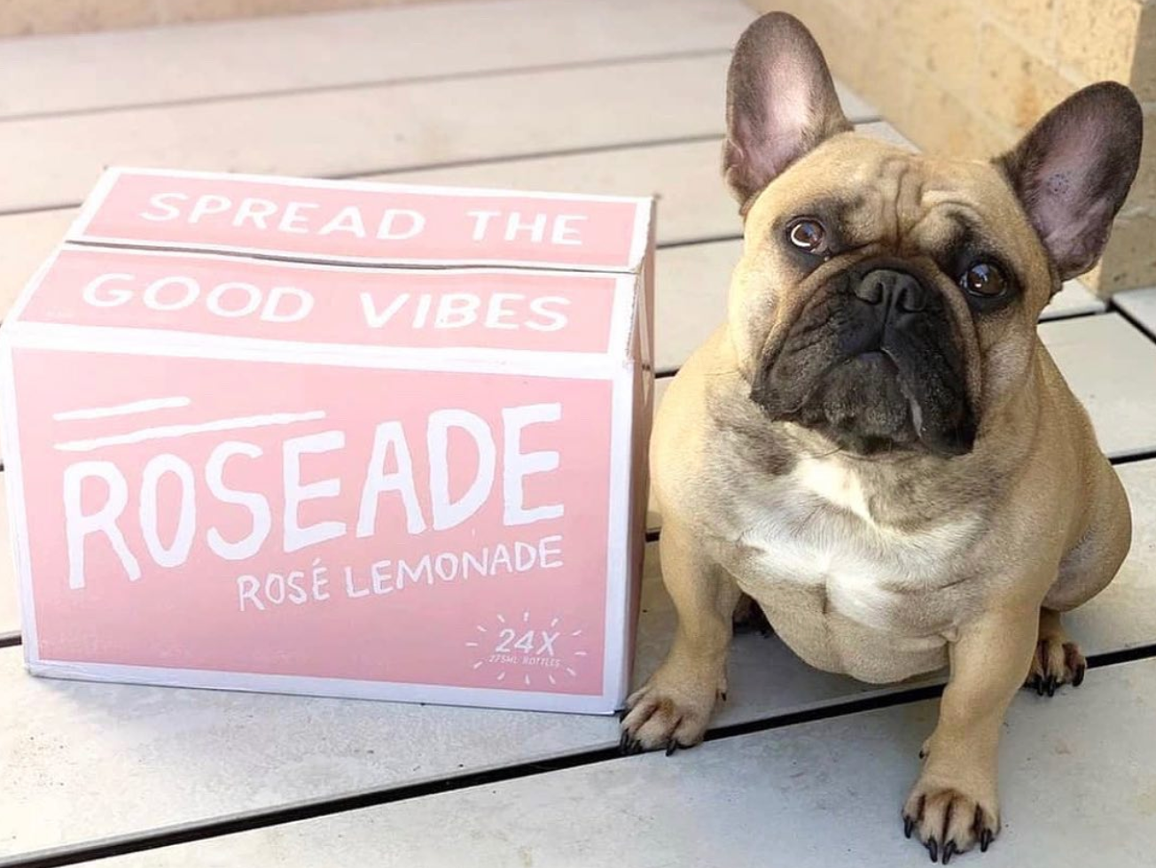 Roseade CASE! (24 Can Holiday Pack)